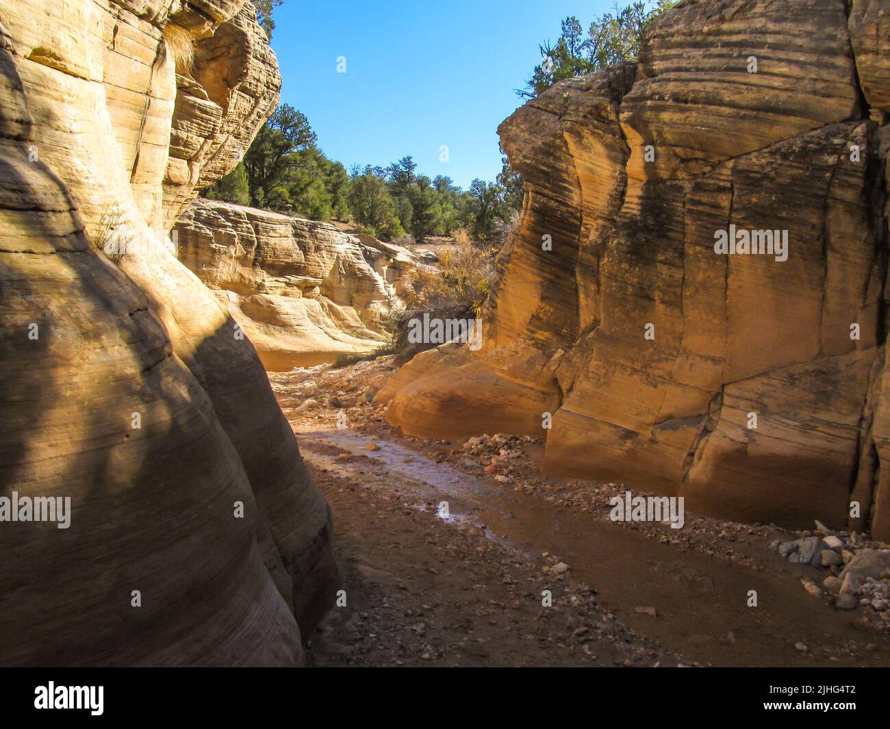 A small stream flowing through a slot canyon in the south of Utah, USA. Stock Photo