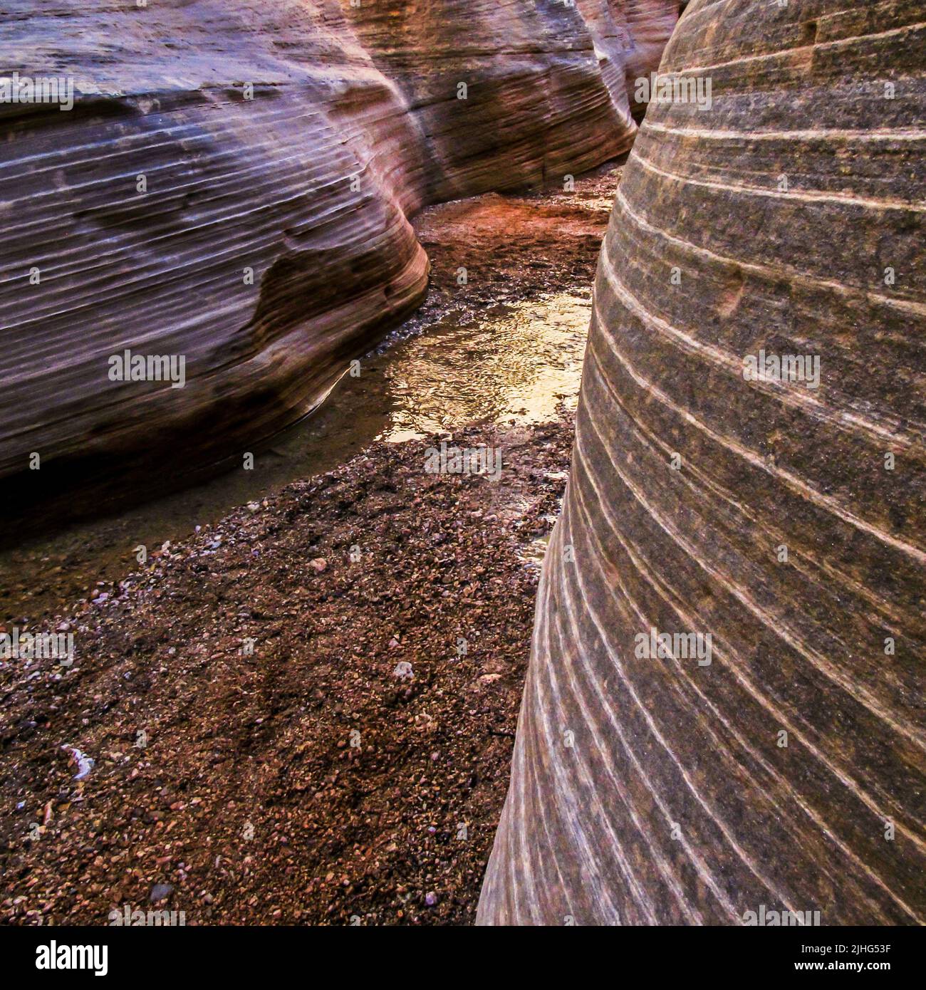 The cross bedding lines on the sandstone cliffs of a small slot canyon at Willis Creek, Utah, USA. Stock Photo