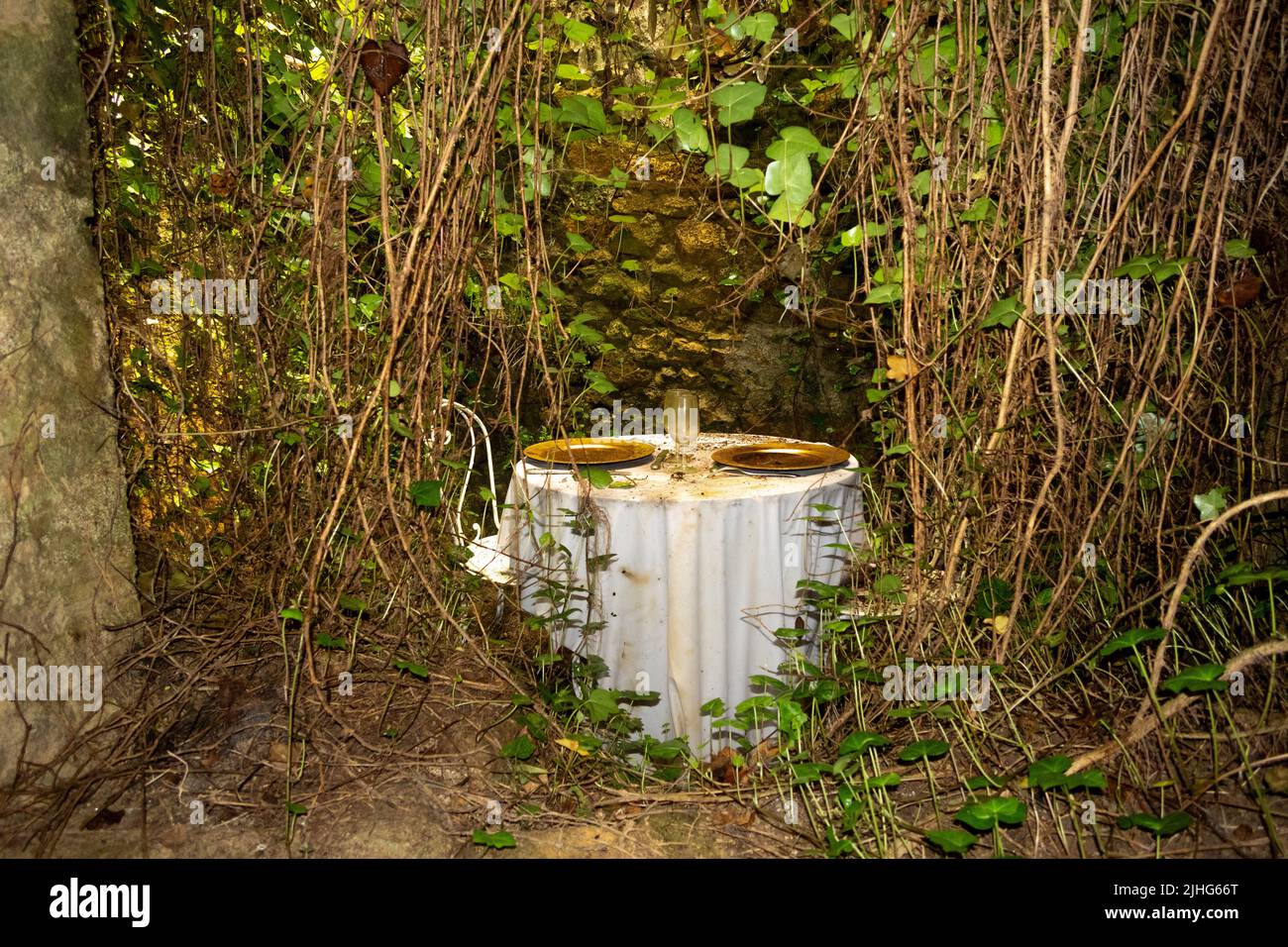 Very Strange and spooky place setting for two person with table set for two among the undergrowth in the caves under Château de la Bourdaisière France Stock Photo