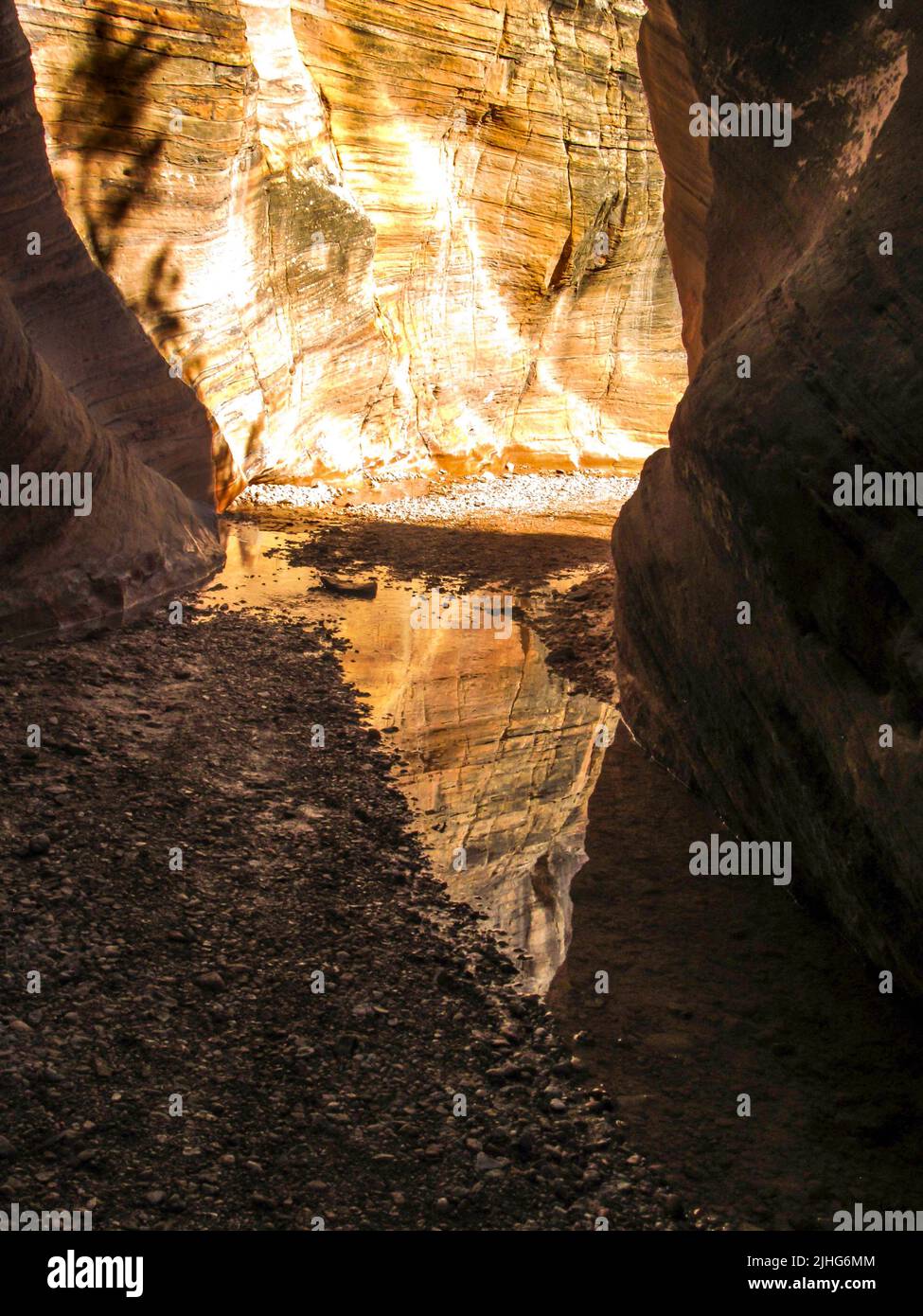 The Golden doorway. The golden sandstone cliff, reflecting in Willis Creek, as seen out of a Slot Canyon, Utah Stock Photo