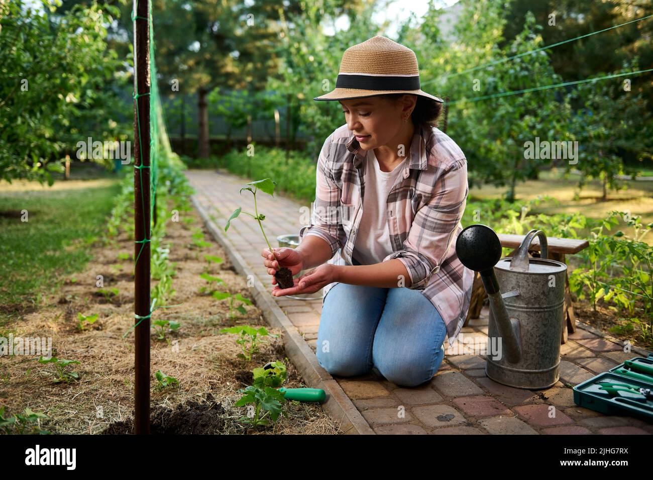 Charming female gardener planting seedling in the open ground. Love and