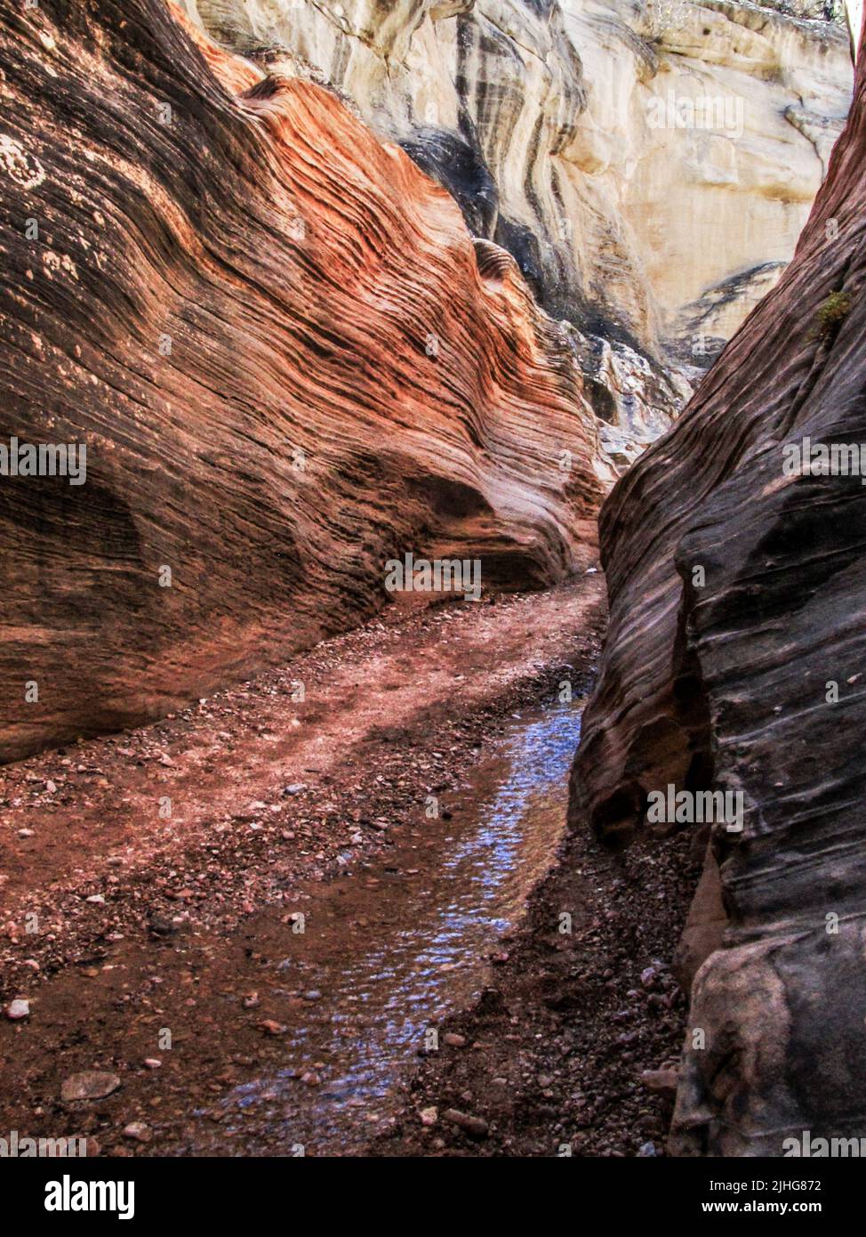 Steep Crossbedding leading deeper into a narrow slot canyon in Willis Creek, in the Grand Staircase-Escalante National Monument, Utah, USA. Stock Photo