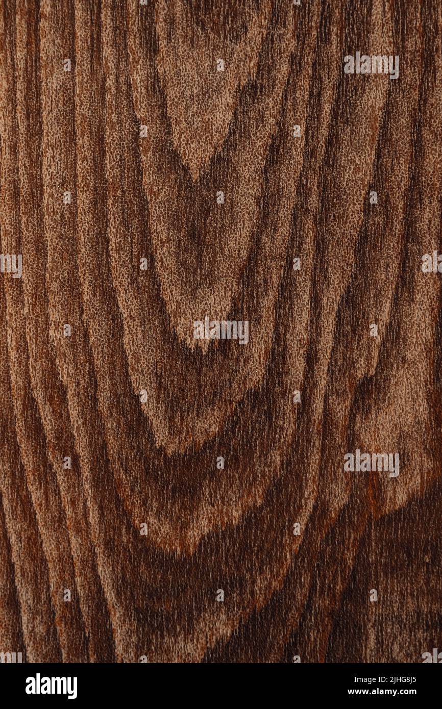 Vintage background from old wood Stock Photo
