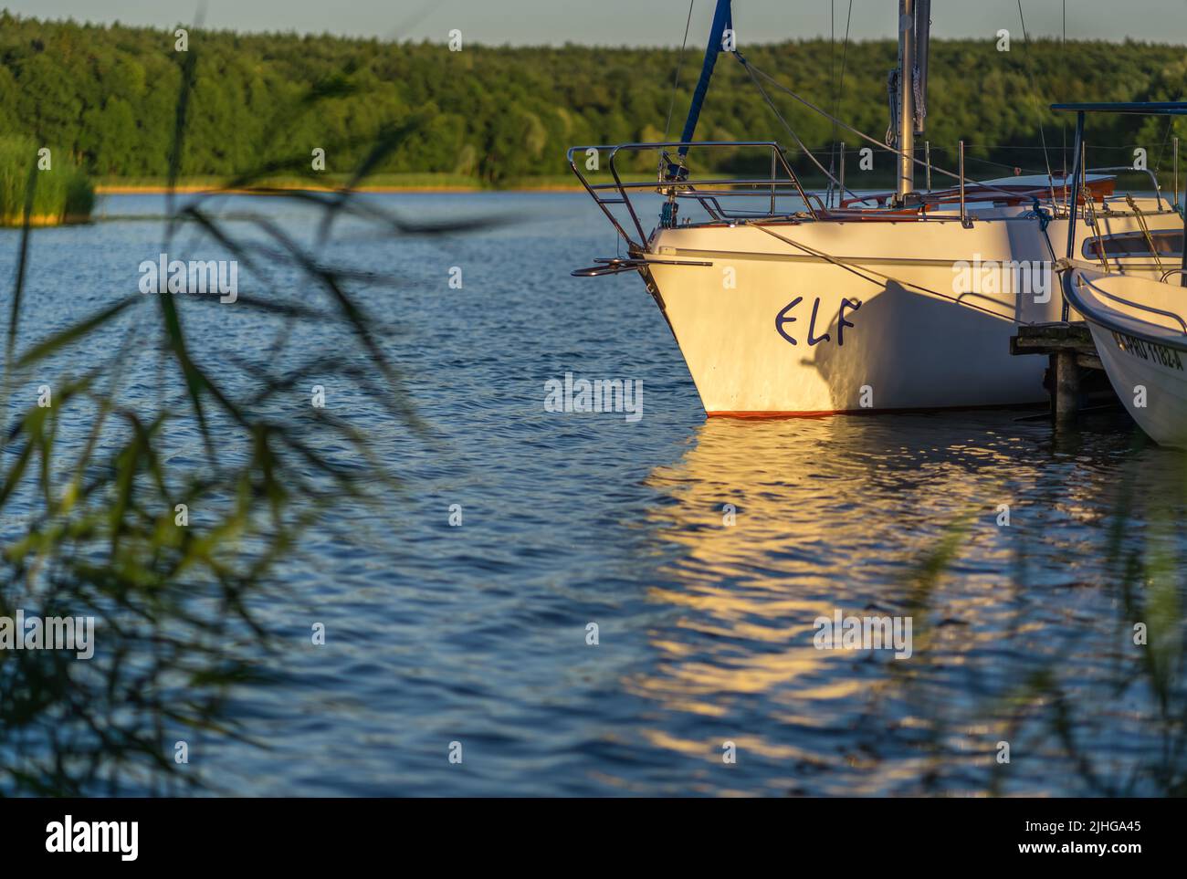Jezioro Ostrowieckie, Poland - July 2020 : A small private boats on the shore of a lake surrounded by reed and trees under the blue sky Stock Photo