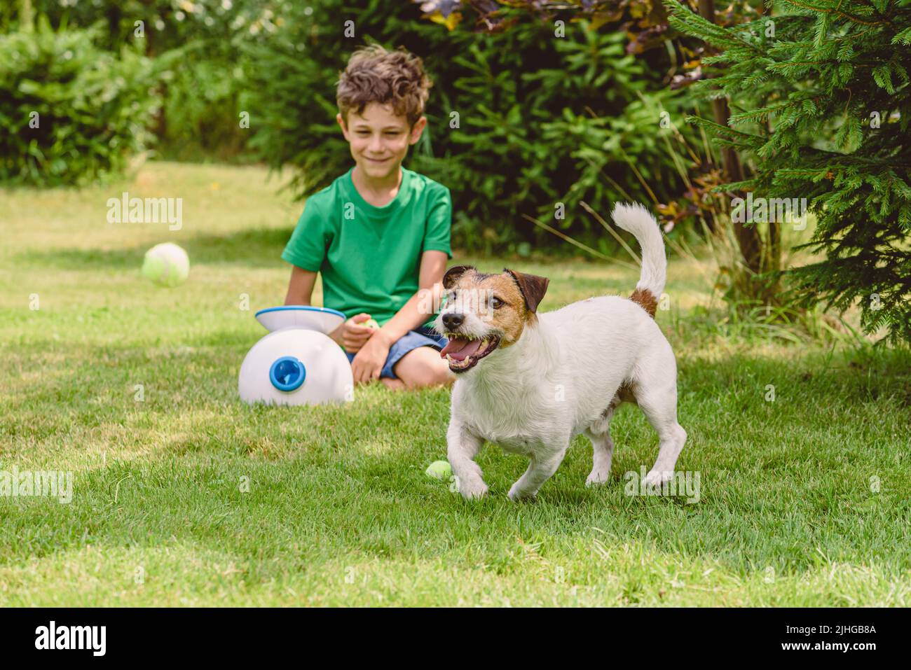 Boy dog fetch retrieve hires stock photography and images Alamy