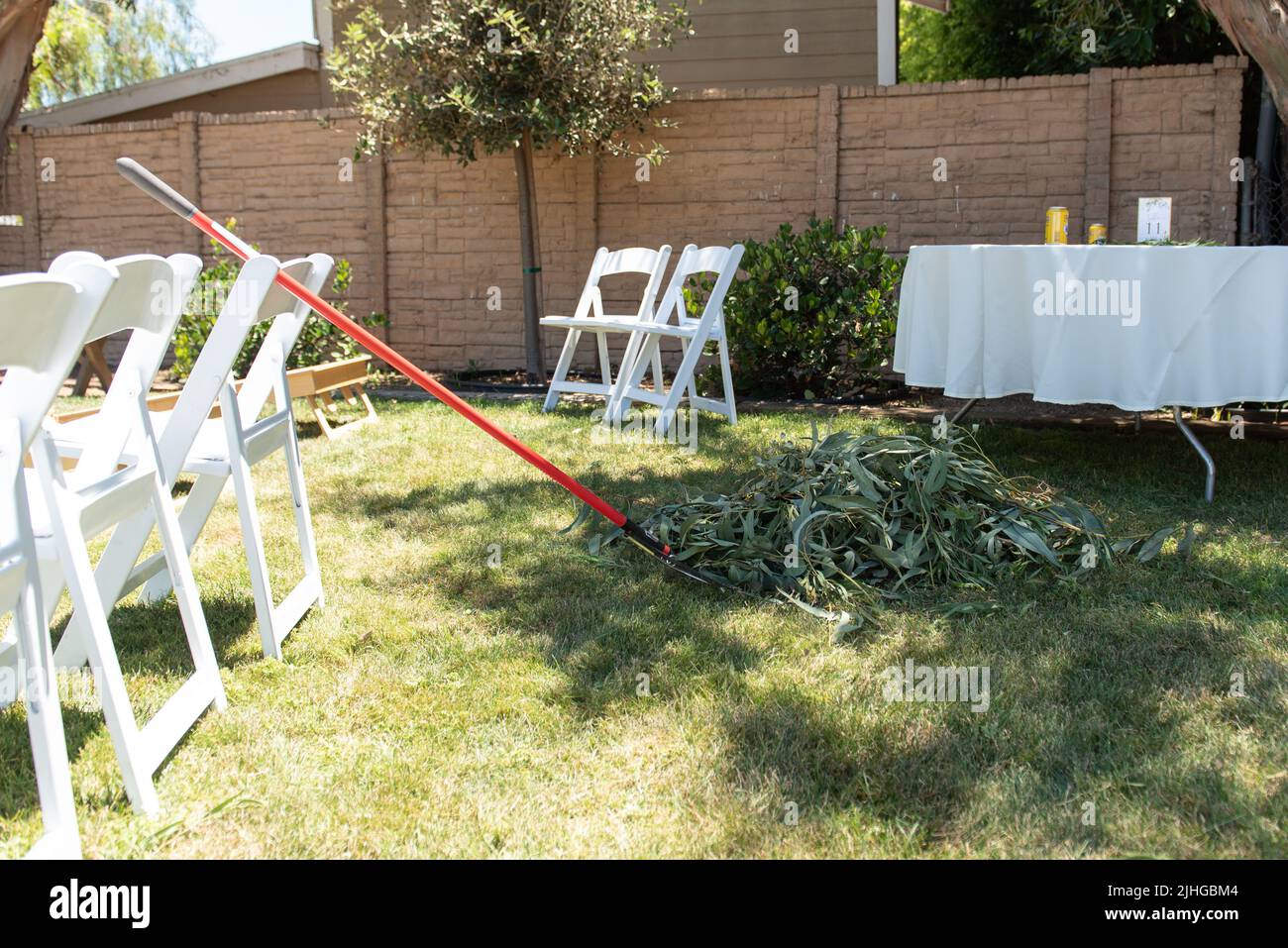 Backyard venue needs some leaves raked to clean up the grass before the party. Stock Photo