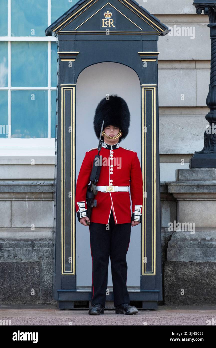 Climate change outside buckingham palace hires stock photography and