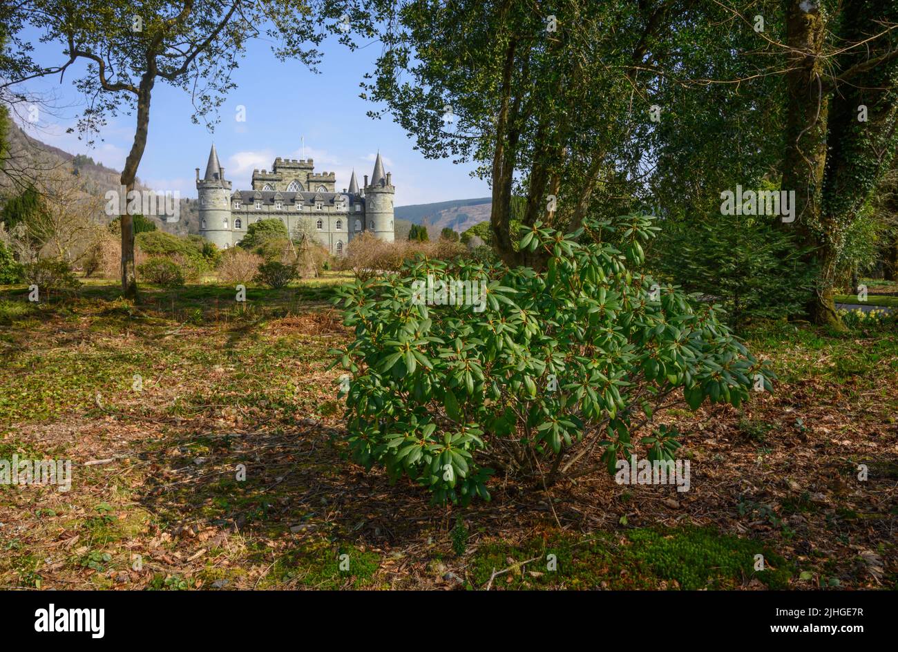 Inveraray Castle framed by woodland Stock Photo