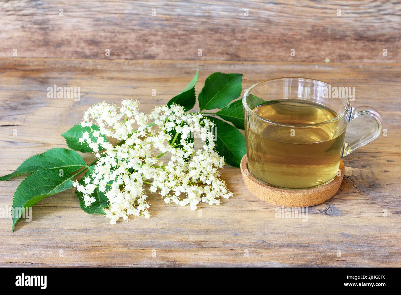 elderflower drink in a cup on a wooden background with a sprig of blooming elderberry close-up Stock Photo