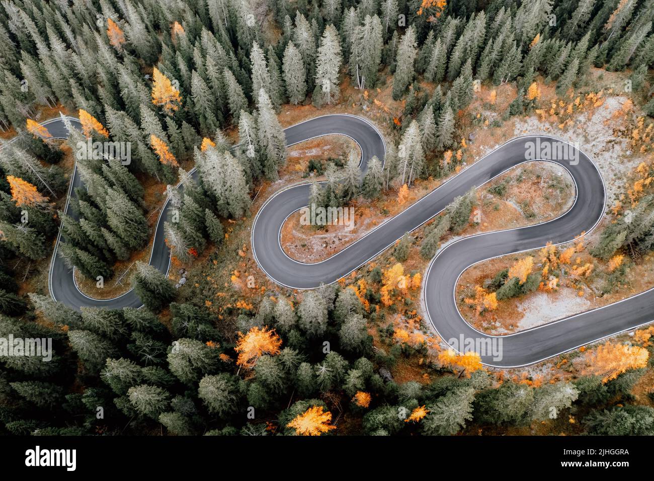 Top aerial view of famous Snake road near Passo Giau in Dolomite Alps. Winding mountains road in lush forest with orange larch trees and green spruce in autumn time. Dolomites, Italy Stock Photo