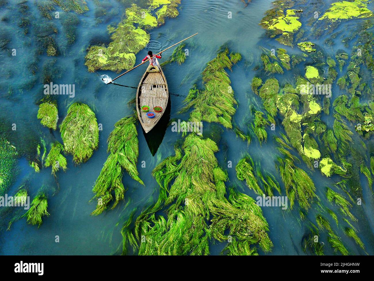People boating in algae and water plant covered river in Bogura, Bangladesh Stock Photo