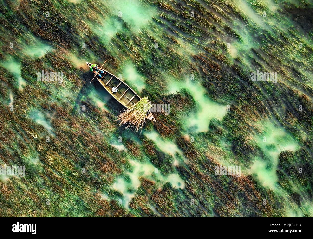 People boating in algae and water plant covered river in Bogura, Bangladesh Stock Photo