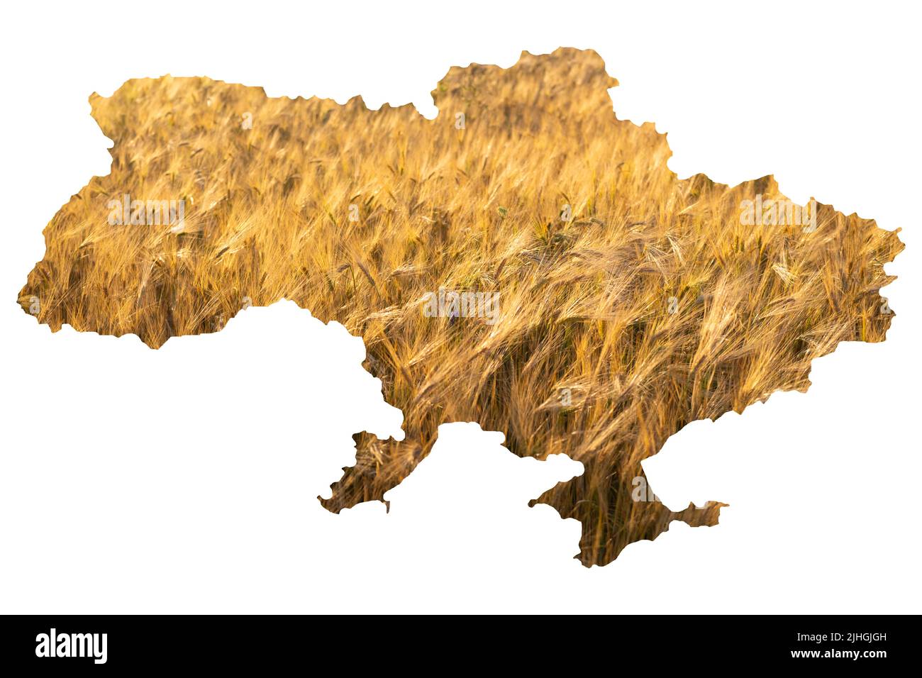Ukraine map concept wheat field. Delay in grain exports due to Russia's blockade Stock Photo