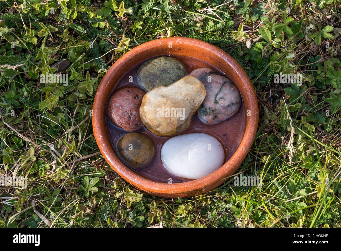 During hot weather water can be provided for insects by filling a small bowl with water and adding some pebbles to provide dry areas to drink from. Stock Photo