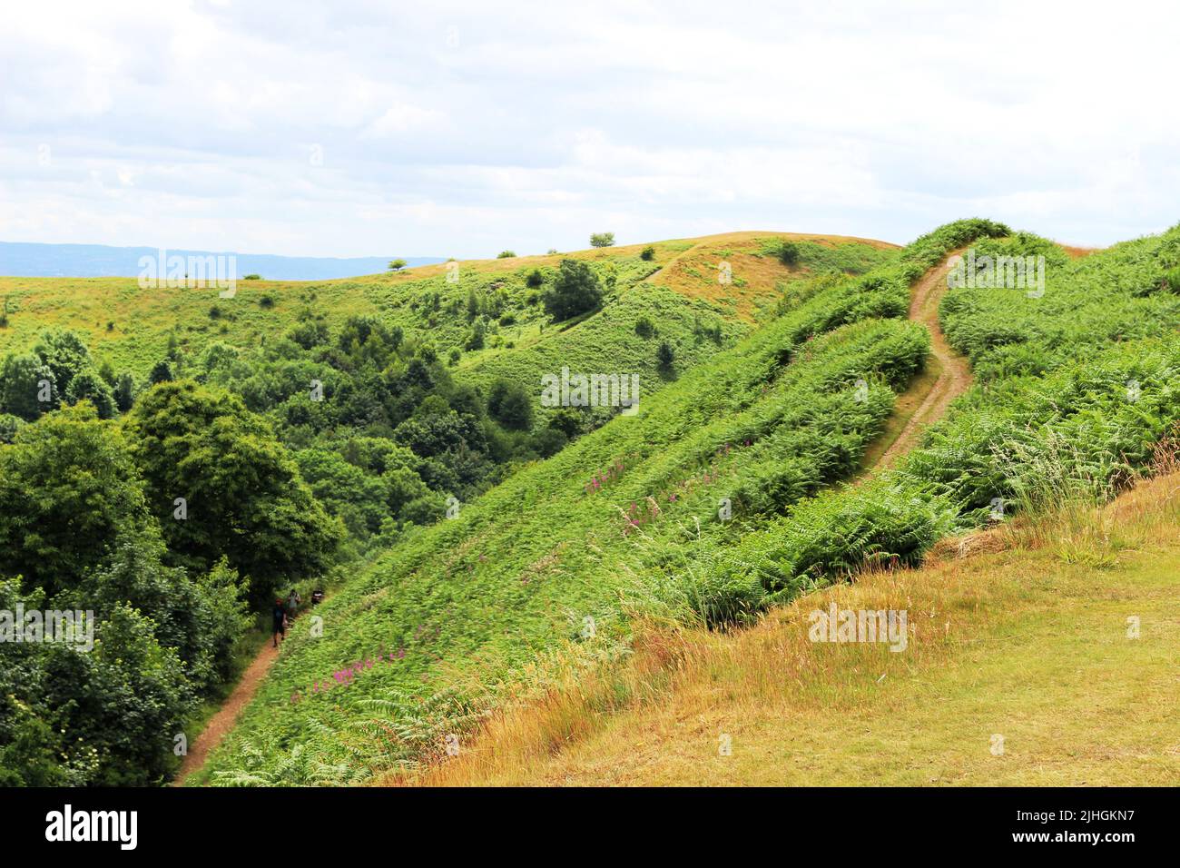 The rolling landscape of the Malvern Hills close to the British Camp Stock Photo