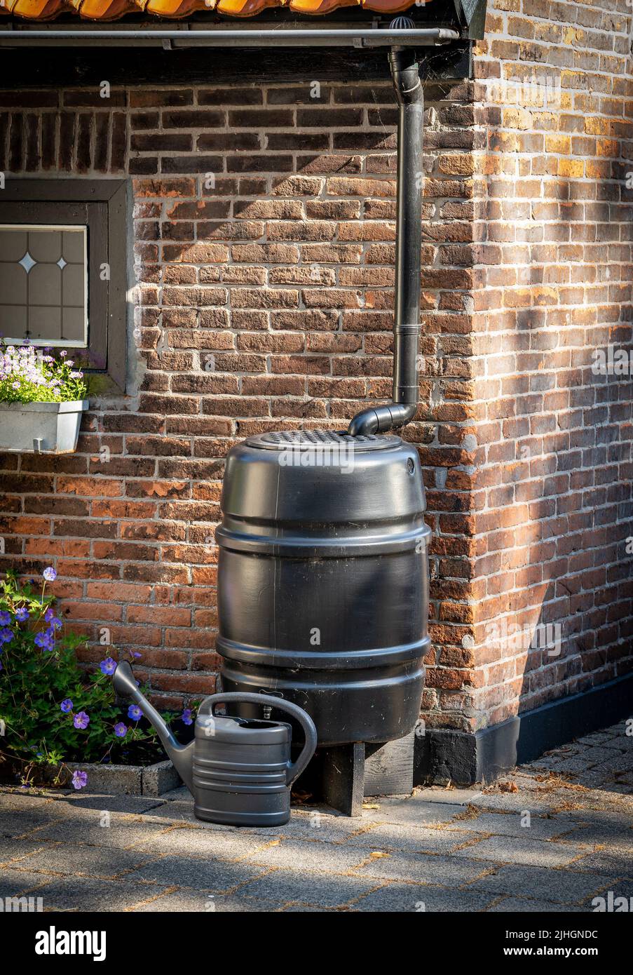 Black rain barrel with watering can to collect rainwater, water conservation concept Stock Photo