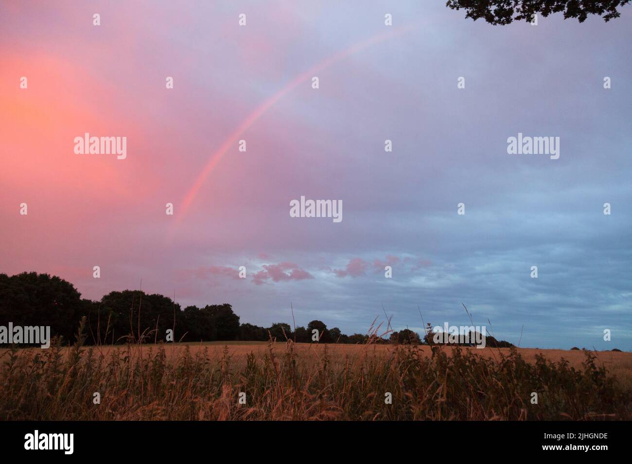 A unique pink sky with rainbow in the countryside Stock Photo