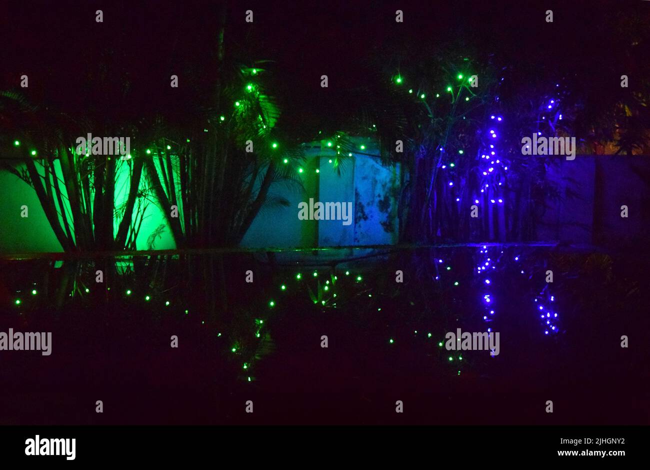 fairy lights in garden, cochin, kerala, india Stock Photo