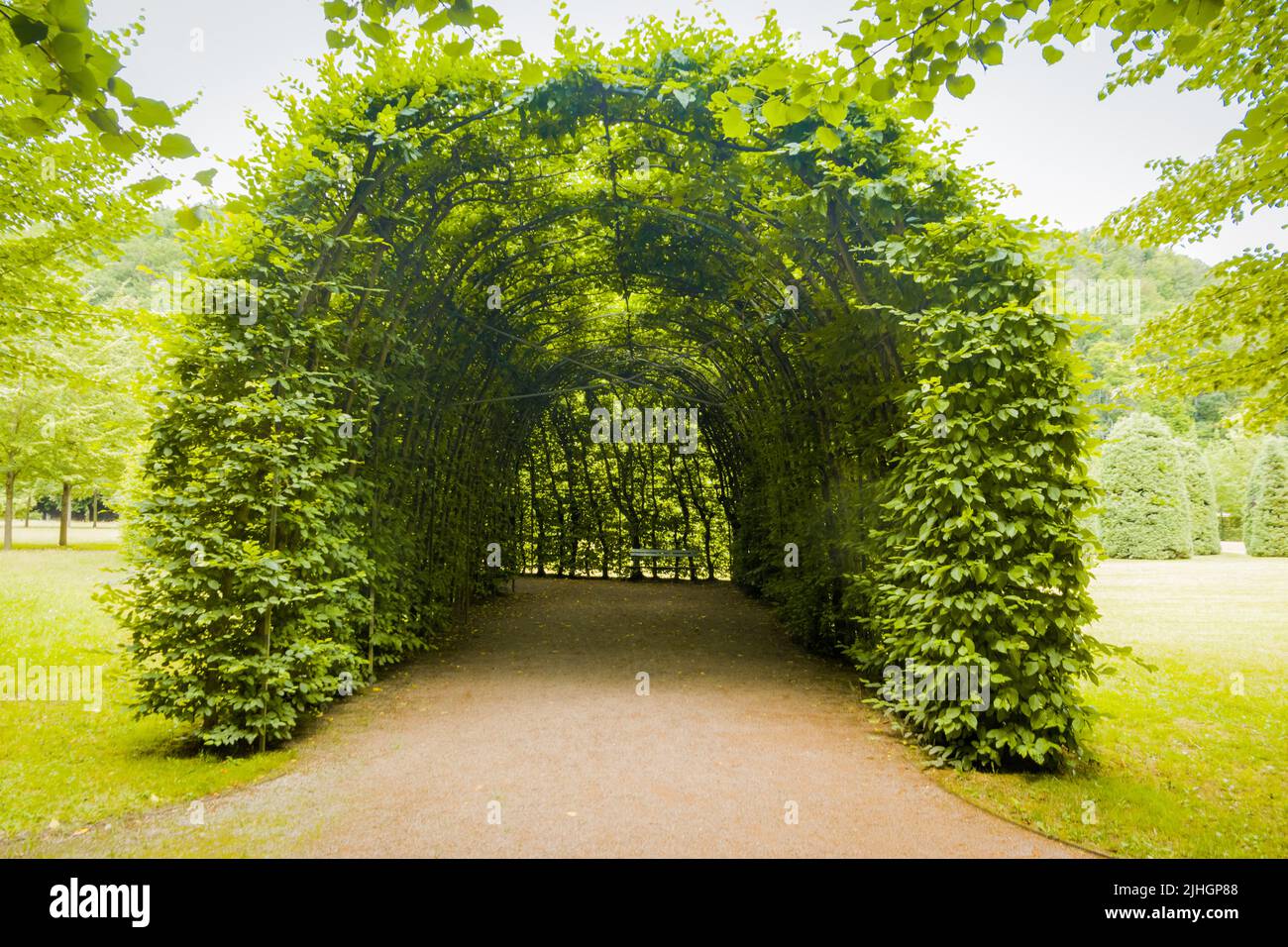 A green tunnel in a park Stock Photo Alamy