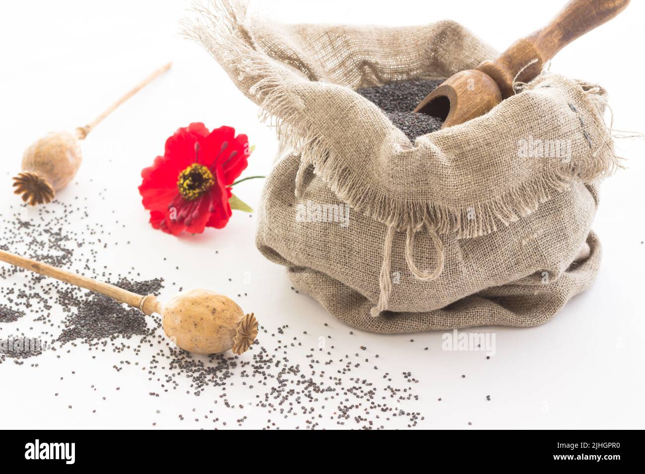 Bag with poppy seeds and scoop. Poppy heads, poppy grain and flower on white Stock Photo
