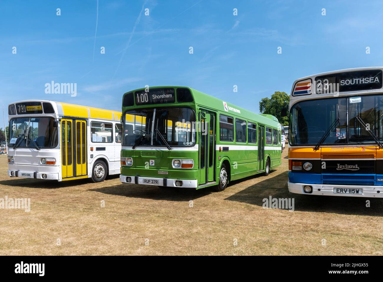 Row of colourful Leyland National buses on display at Alton Bus Rally and Running Day, a Hampshire event during summer 2022, England, UK Stock Photo