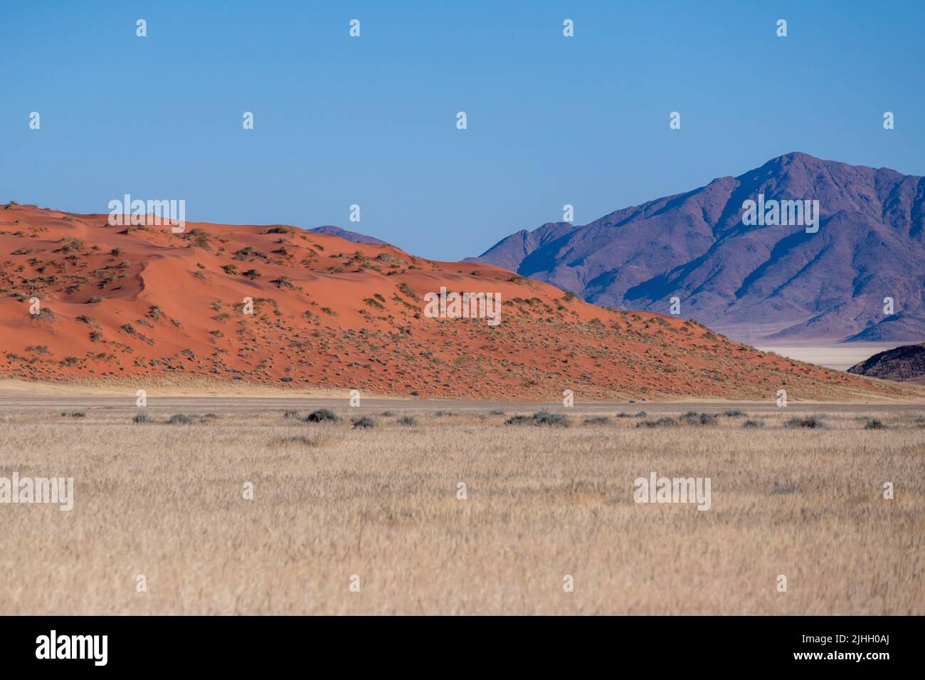 Sand dunes in the desert with blue sky background. Stock Photo