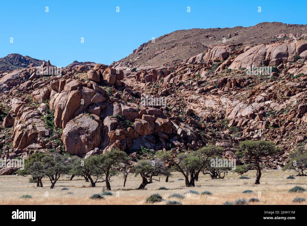 Namibian the rocks of SpitzkopTrees and mountains in the Namtib in Namibia Africape in Damaraland, landscape with a tree Stock Photo