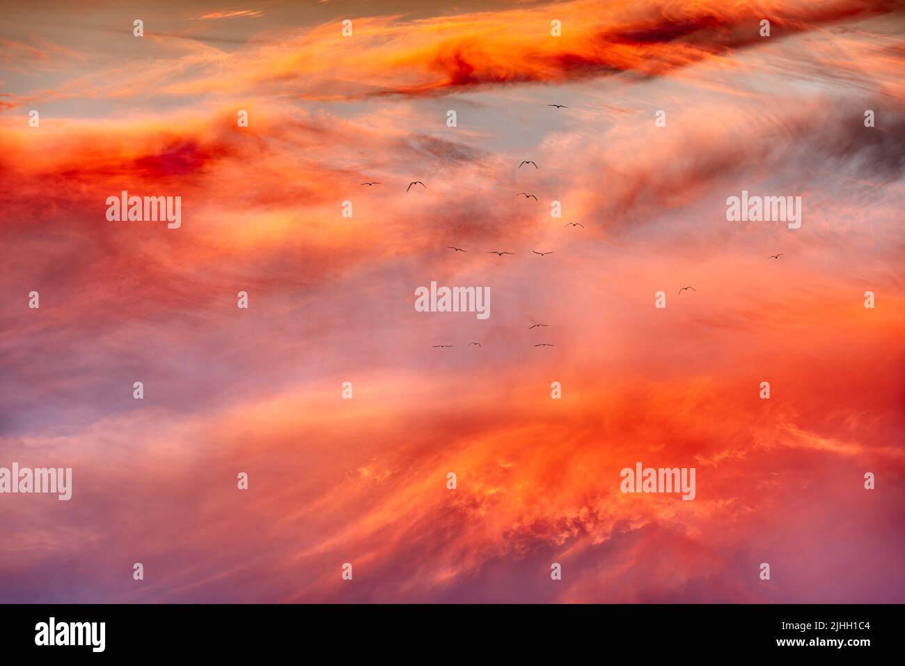 A Flock Of Bird Silhouettes Flying Against A Detailed Colorful Cloudscape Sky Stock Photo