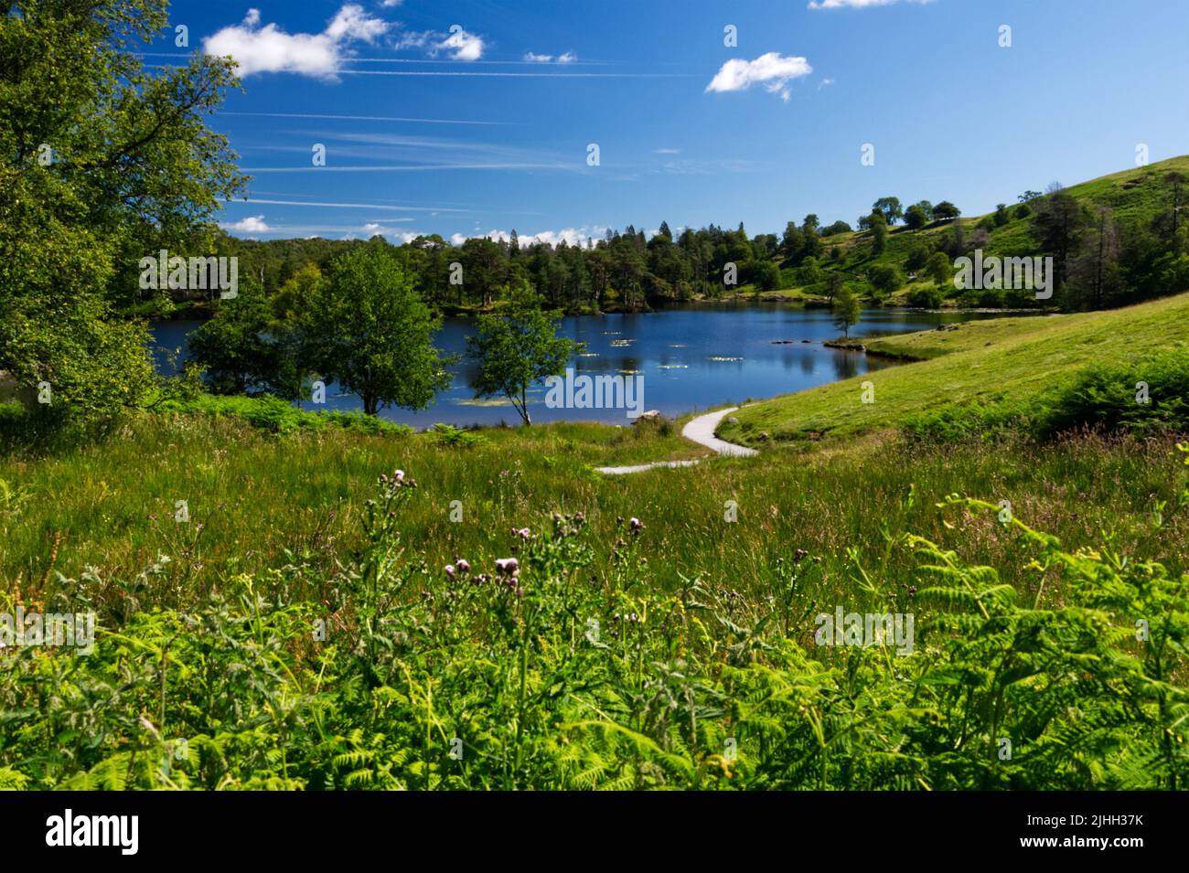Tarn Hows in the Lake District National Park, located between Coniston and Hawkshead Stock Photo
