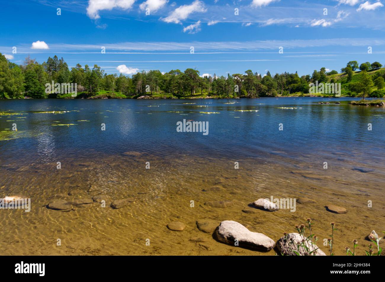 Tarn Hows in the Lake District National Park, located between Coniston and Hawkshead. Stock Photo