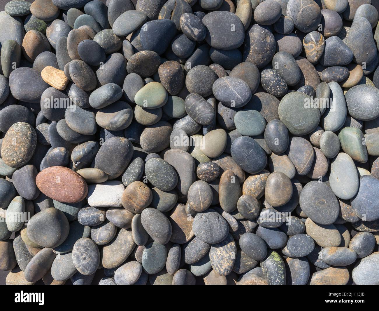 Medium close-up of river stones worn smooth on a river bottom. Stock Photo