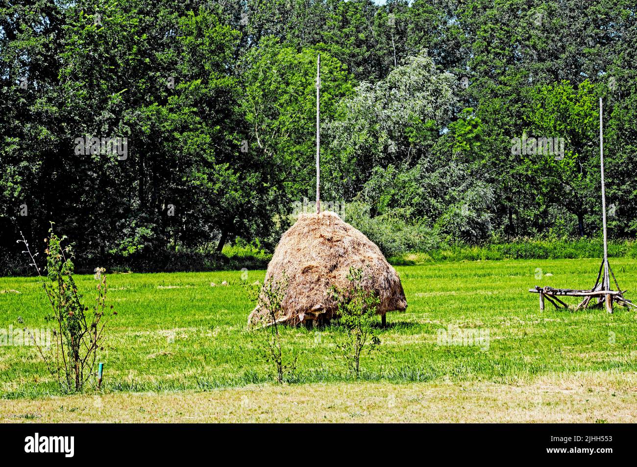 Haysteck in the Spreewald; typischer Heuhaufen im Spreewald Stock Photo