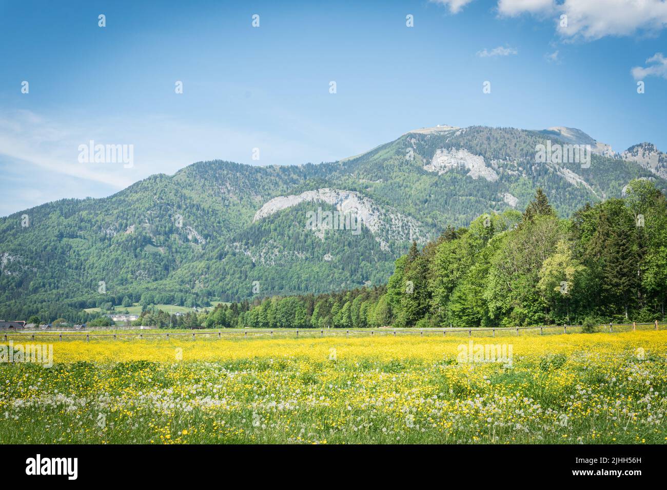 Schafberg mountain in the Salzkammergut. Famous mountain in the Austrian Alps during summer. Stock Photo