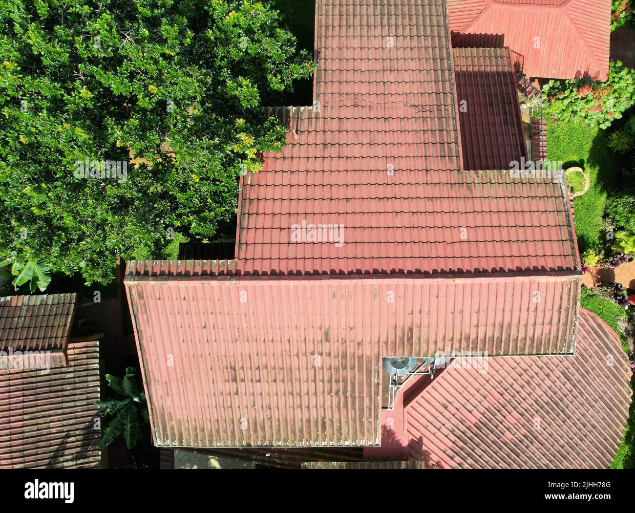 Red clay home roof with green fungus spots aerial drone top view Stock Photo
