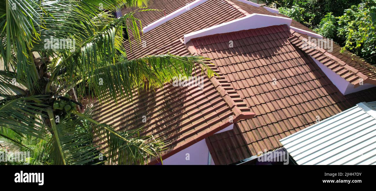 Top view on red clay and metal  roof with palm tree on side aerial view Stock Photo