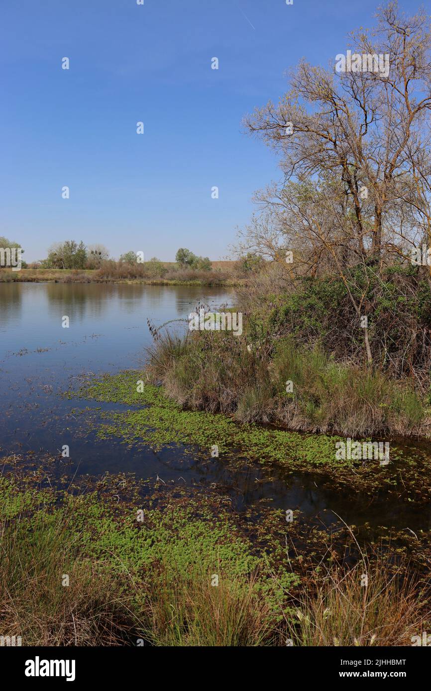 What can one see when walking along the San Joaquin River where it runs through northwest Fresno, CA? Stock Photo