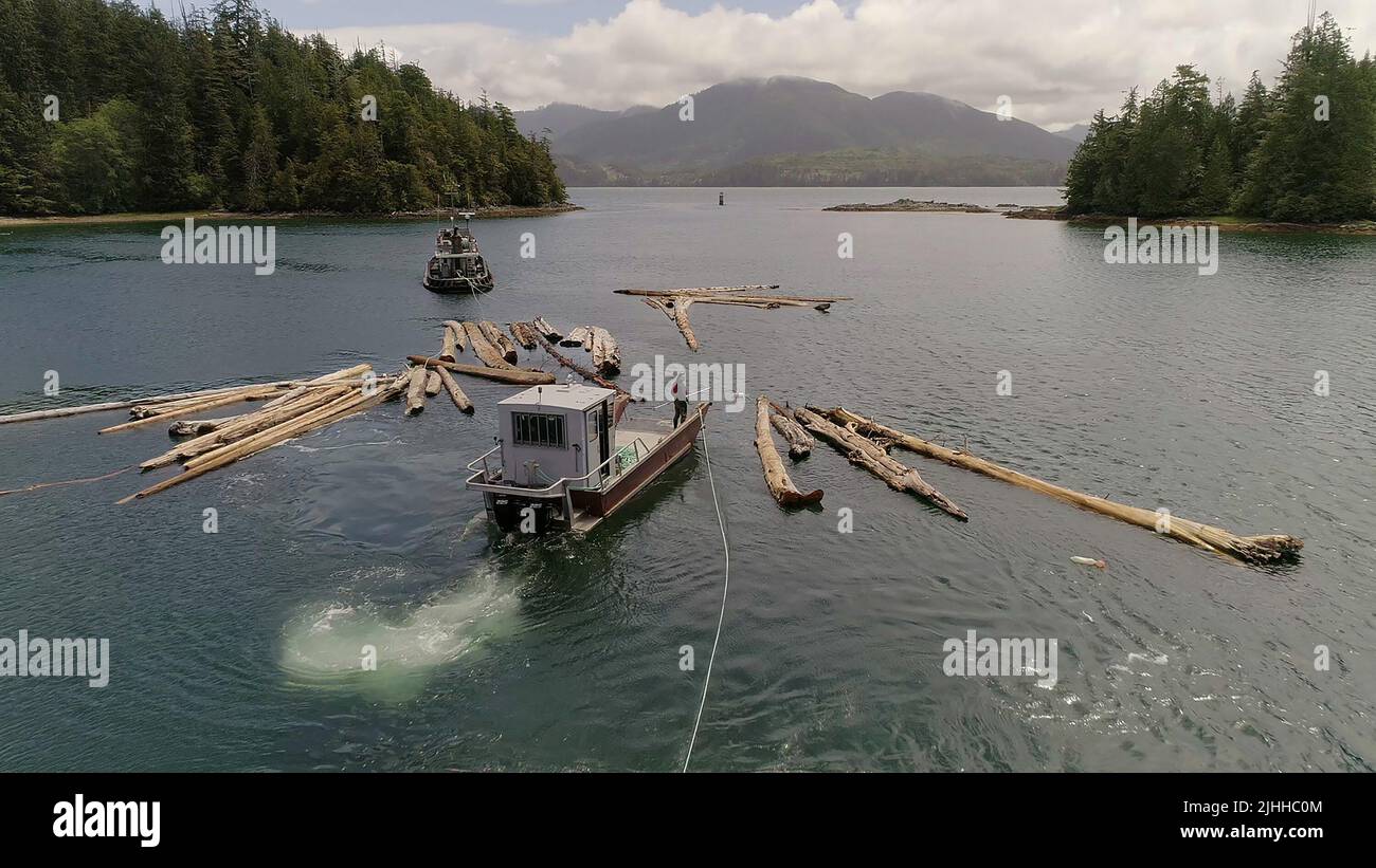 BIG TIMBER, logging operations at the sawmill, 'Ain't No Stopping Us