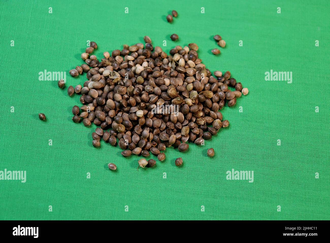 A pile of cannabis seeds of unknown origin or strain on a green cloth backdrop. Stock Photo