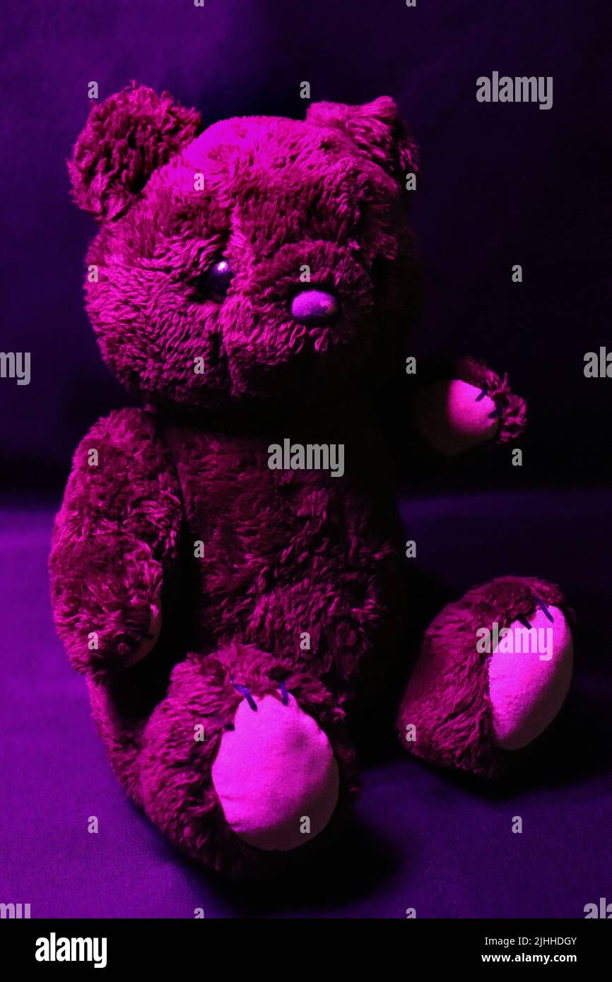 A well-loved brown teddy bear from the early 1980s on a black backdrop. The bear features shoulder and hip joints and dark glass eyes. Stock Photo