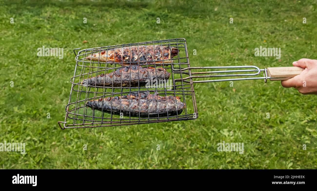 The process of cooking mackerel fish in a marinade on the grill. Fried ...
