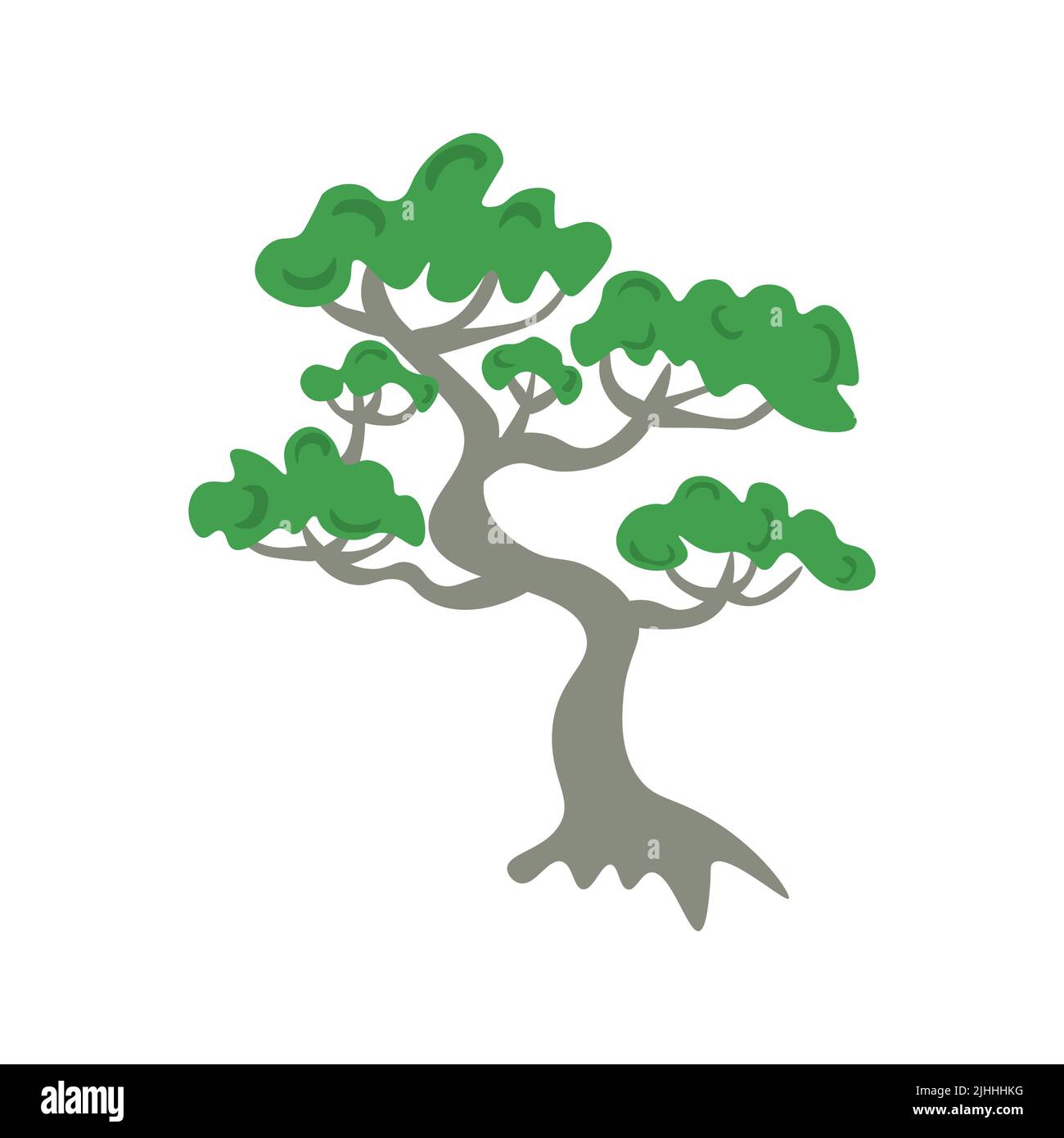 Japanese pine tree vector illustration Stock Vector