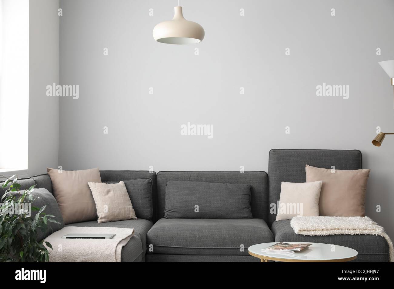Interior of modern living room with black sofa and table Stock Photo ...