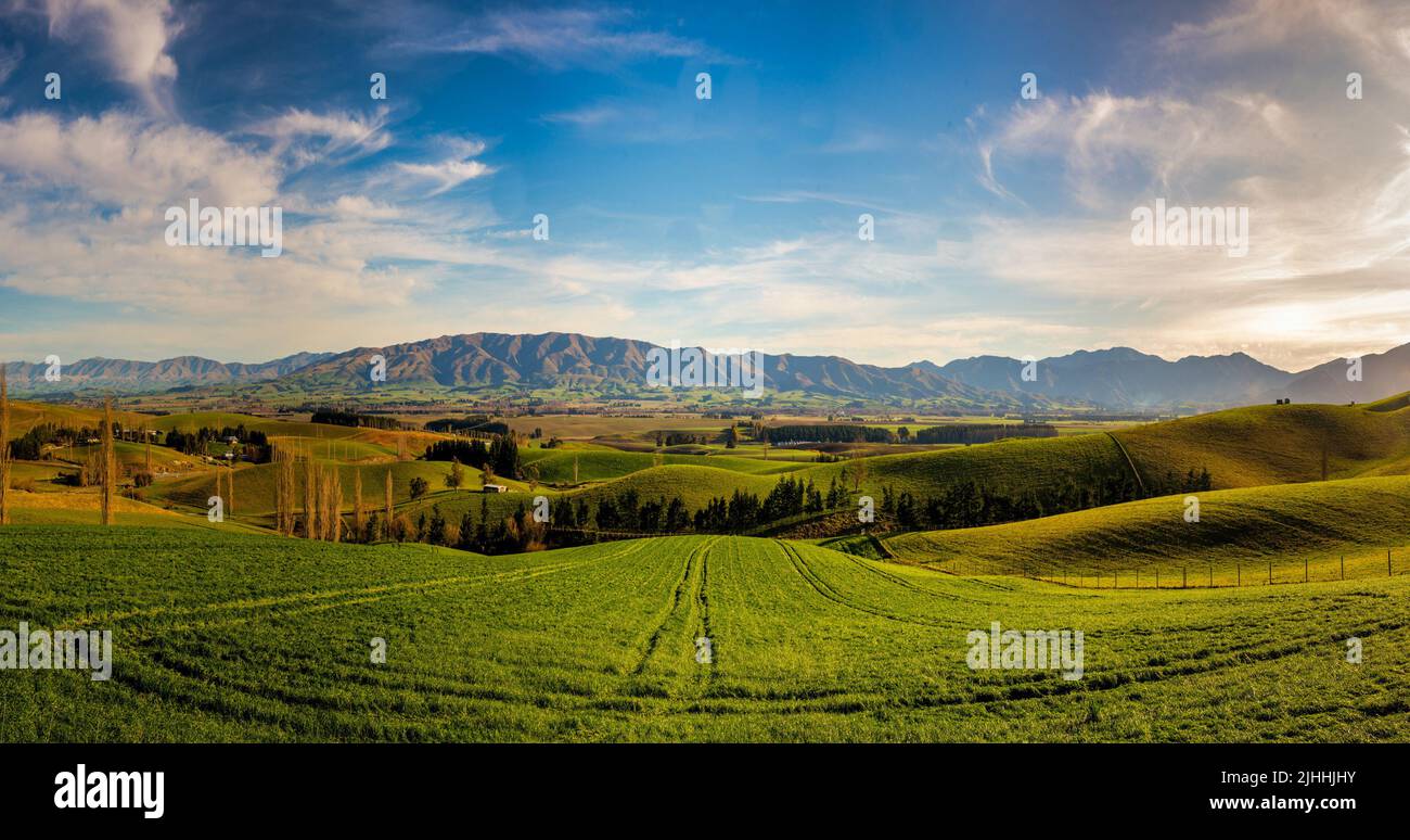 The stunning lush green  hills and valleys of endless farm land around Mount Michael Road, Fairlie Stock Photo