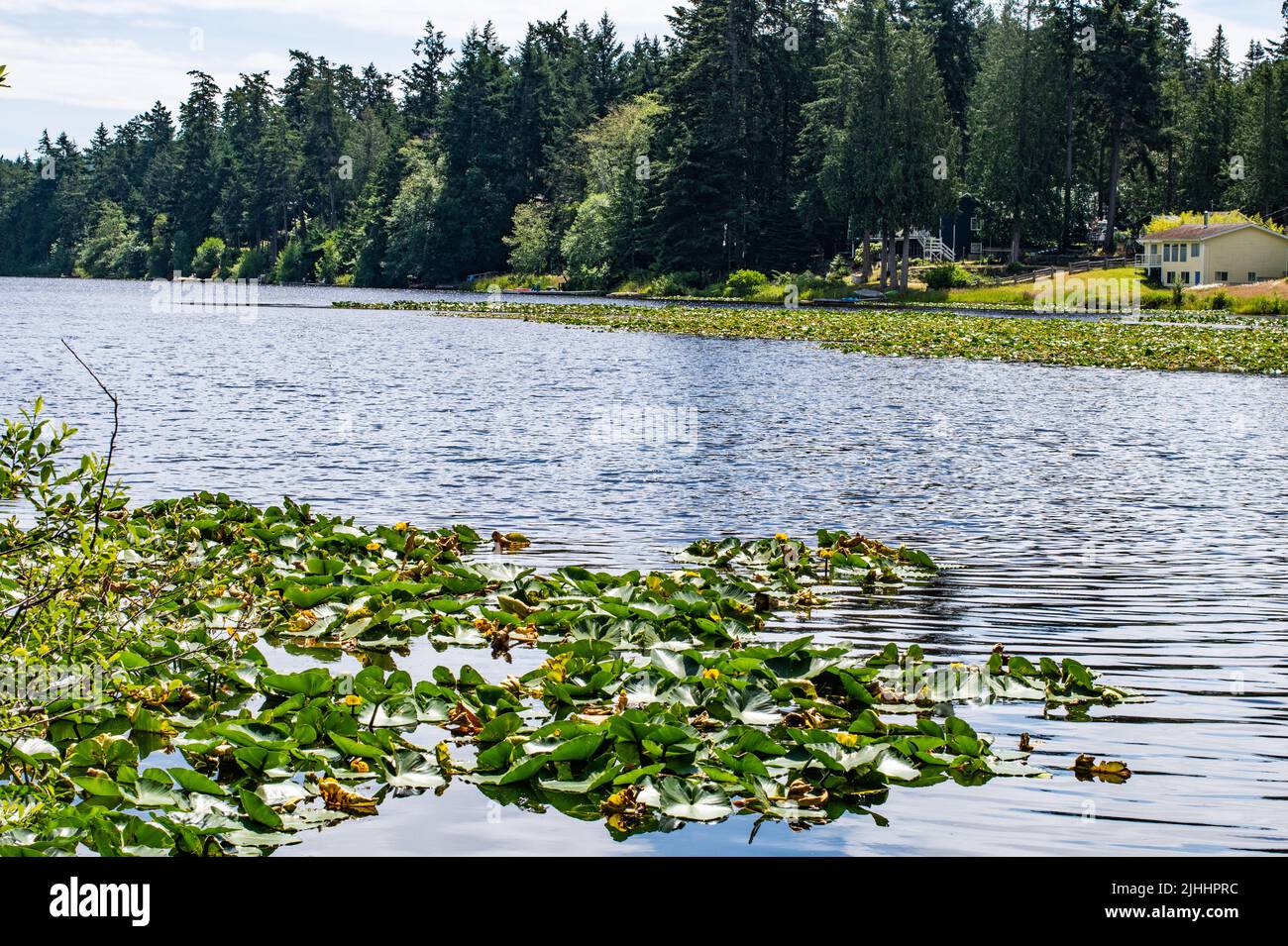 Magic Lake, North Pender Island, British Columbia, Canada Stock Photo
