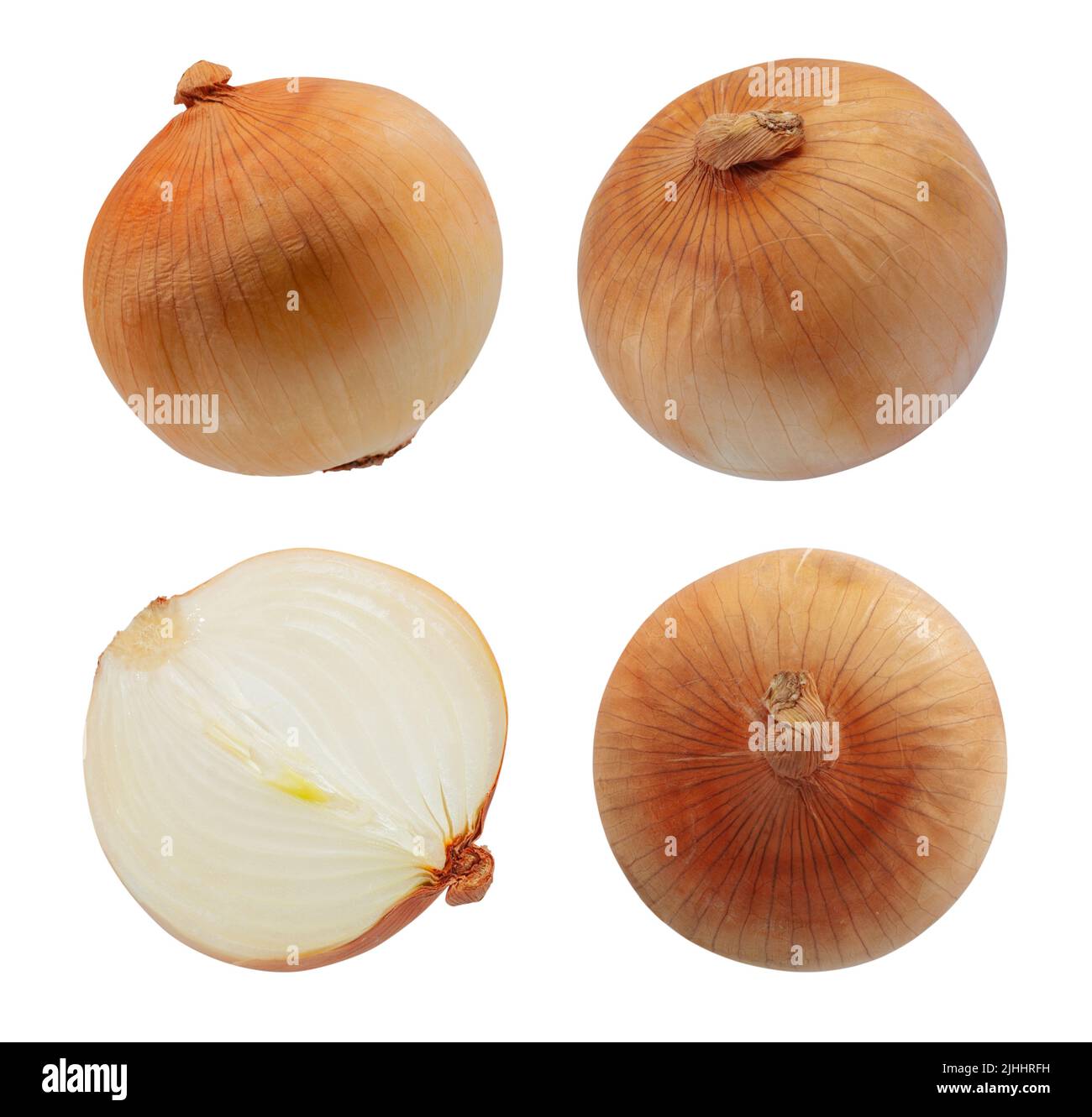 Single object of Onion bulbs isolated on white background Stock Photo