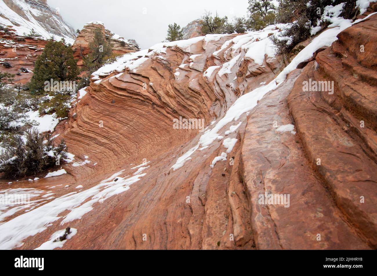 is zion national park open on july 4th