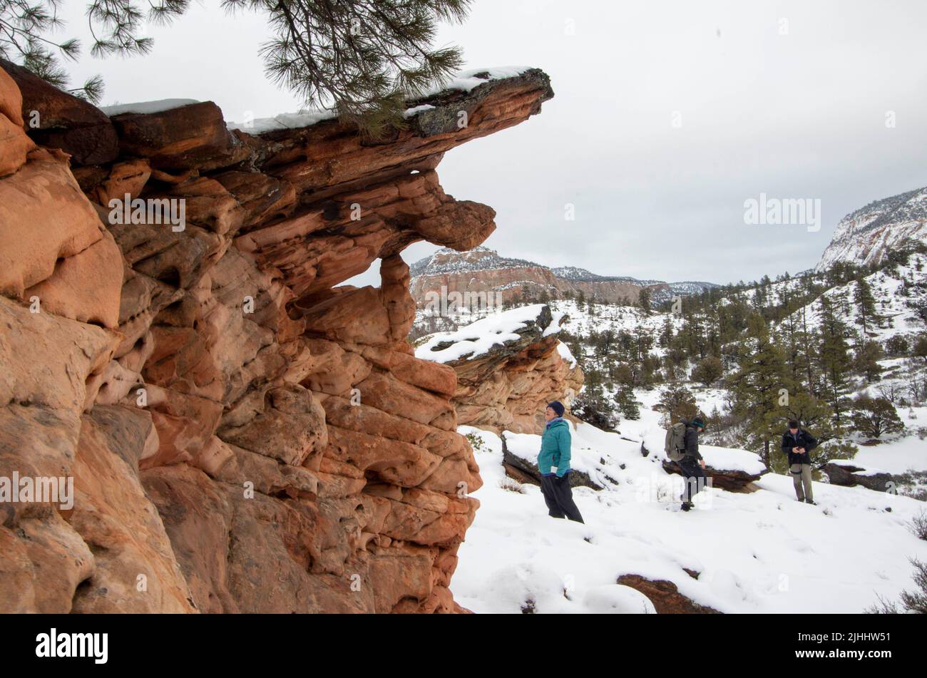 is zion national park open on july 4th