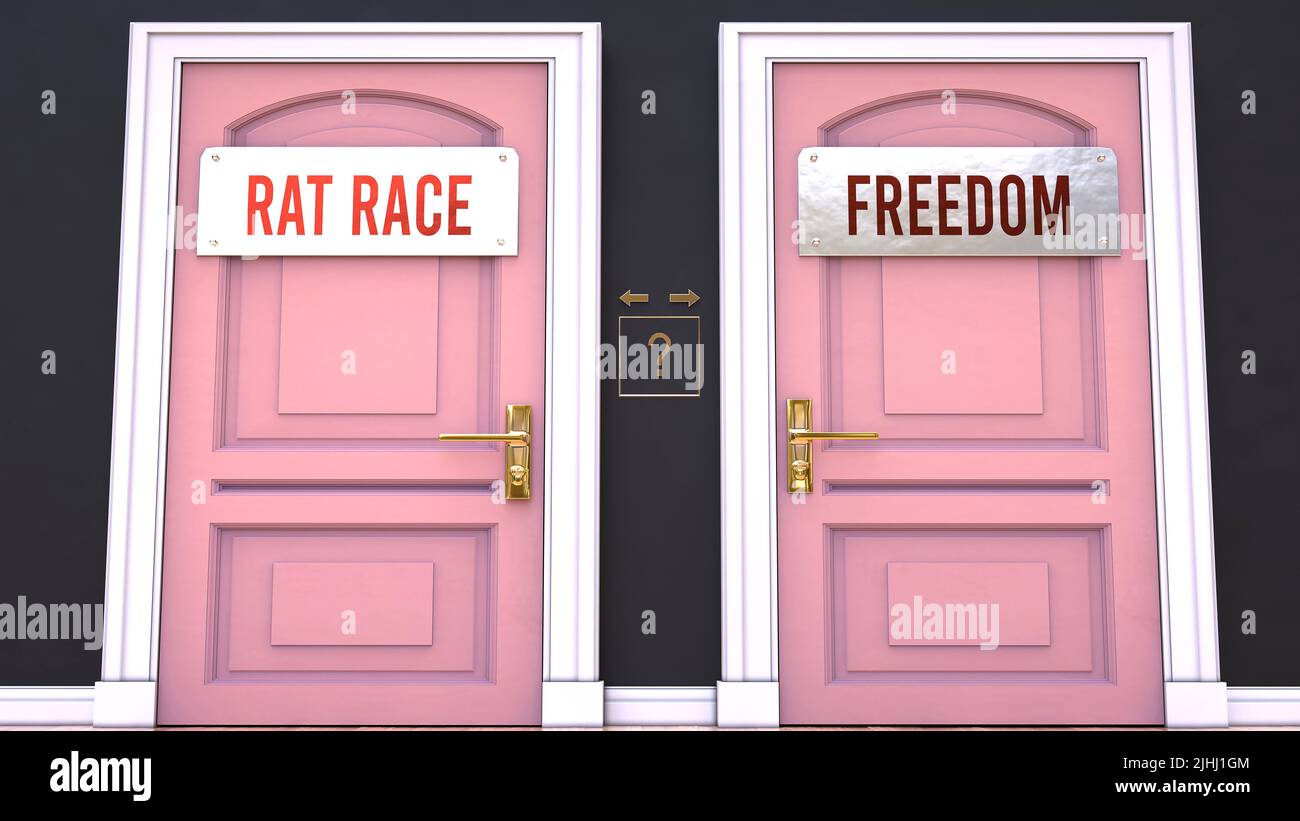 Rat race or Freedom - making decision by choosing either one option ...