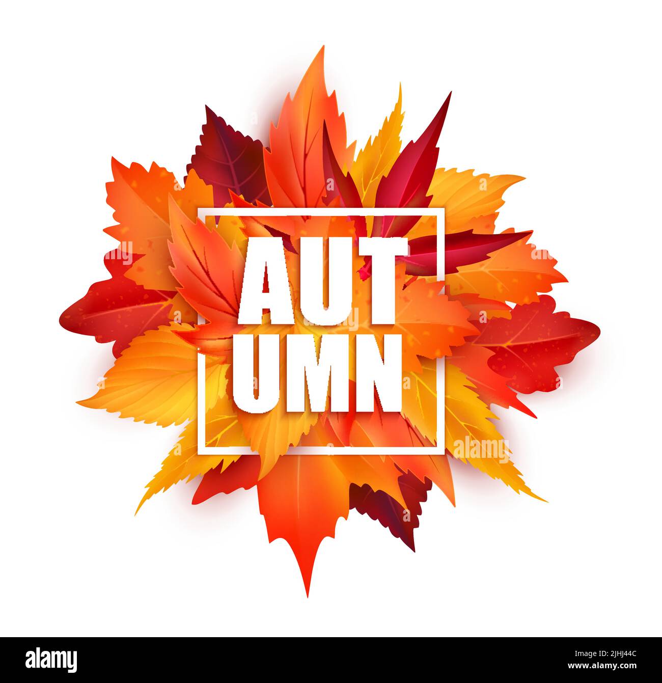 Realistic autumnal leaves, autumn season leaf fall background, vector ...