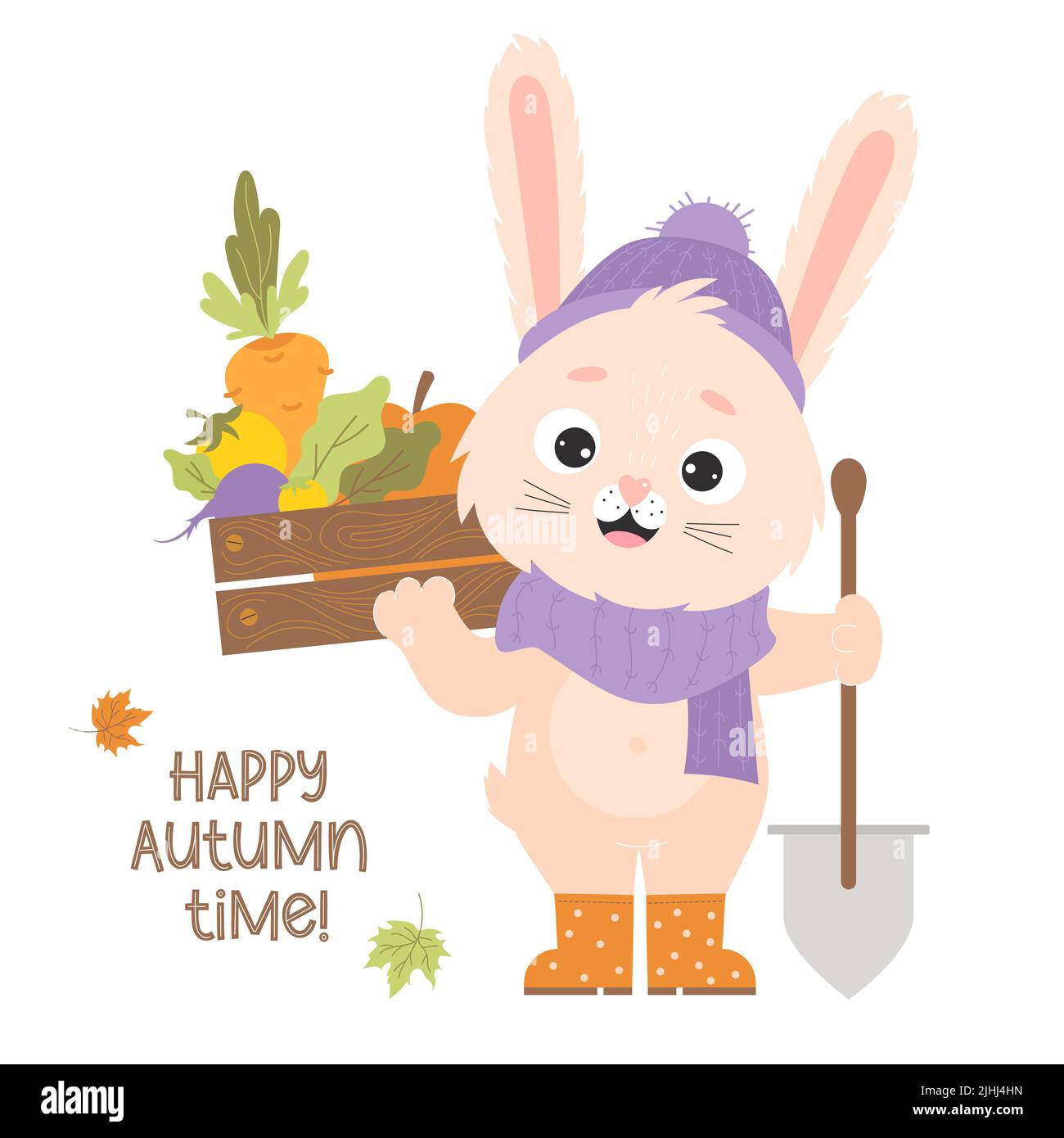 Cute bunny in rubber boots with vegetable harvest box, carrots and gardening tool with shovel. Poster Happy autumn time. Vector illustration for cards Stock Vector